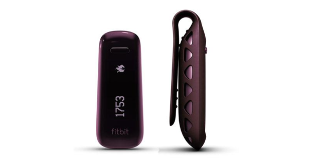 Test Fitbit One